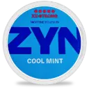 ZYN Cool Mint XX Strong 14 mg S5
