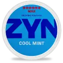 ZYN Cool Mint Max 16.5mg P6