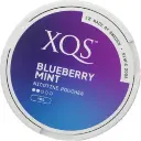XQS Blueberry Mint Light Slim 8mg S2