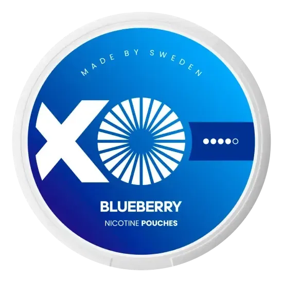 XO Blueberry Slim 8mg S4