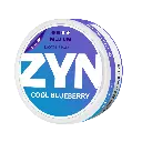 2-ZYN Cool Blueberry Medium.webp