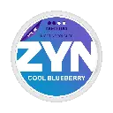 1-ZYN Cool Blueberry Medium.webp