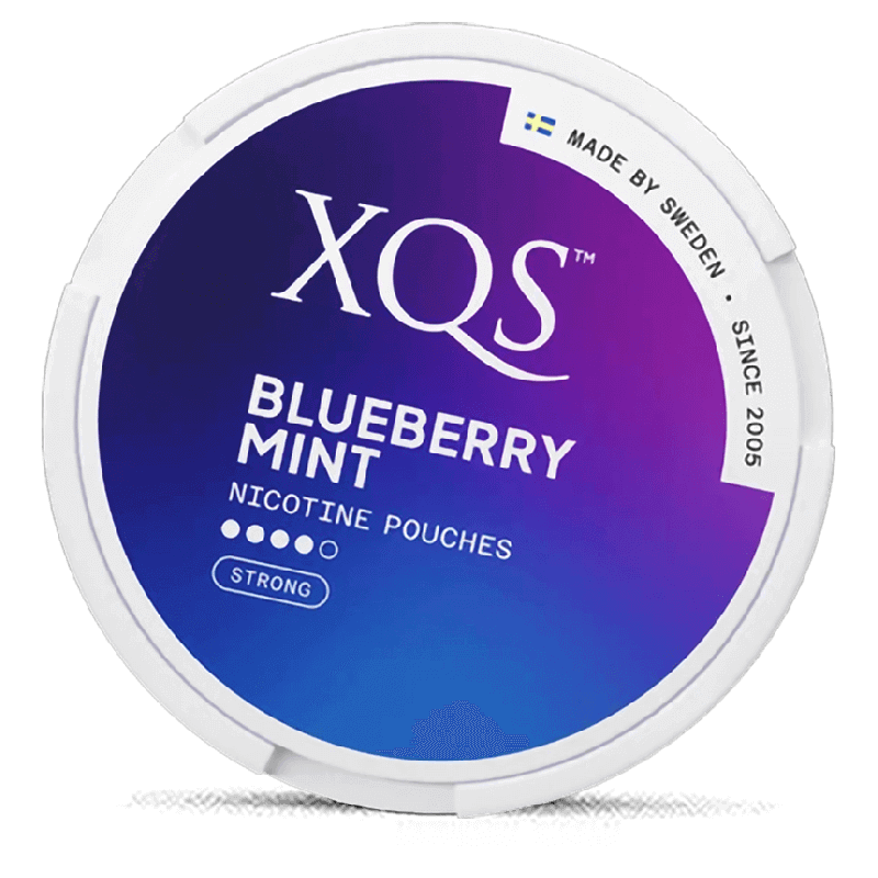 XQS - Blueberry Mint - 8mg - 4 Dot - x20