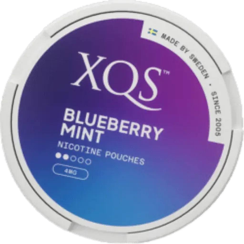 XQS - Blueberry Mint Light - 8mg - 2 Dot - x20