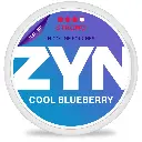 ZYN Cool Blueberry 11mg