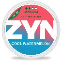  ZYN - Cool Watermelon - 6mg - 2 Dot - x20
