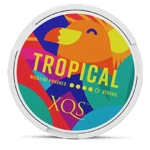 XQS - Tropical - 8mg - 4 Dot - x20