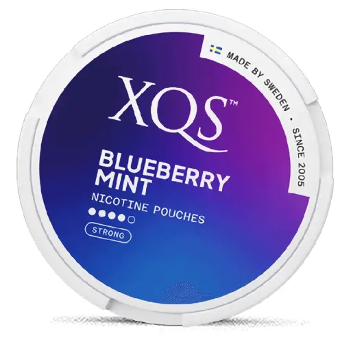 XQS - Blueberry Mint - 8mg - 4 Dot - x20