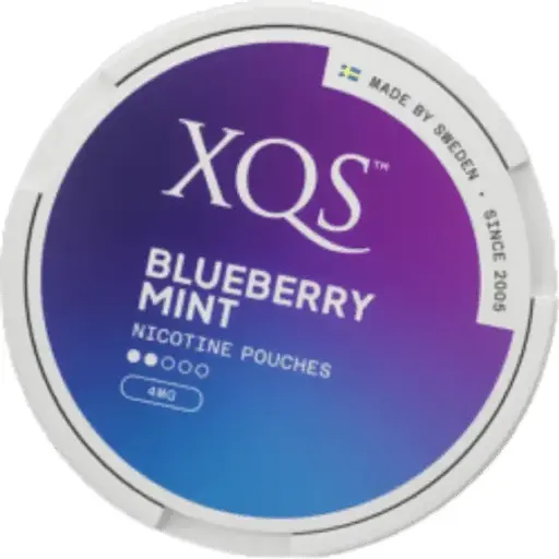 XQS - Blueberry Mint Light - 8mg - 2 Dot - x20